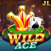 Wild Ace slot cover art on 888 game